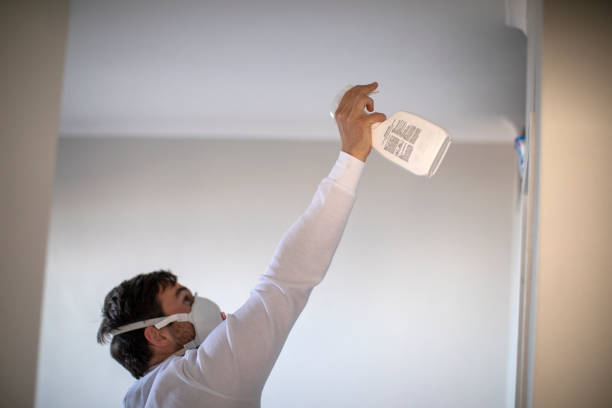 Best Black Mold Removal  in Tusculum, TN